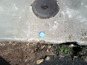 These markers are placed to warn individuals about keeping our drains clean