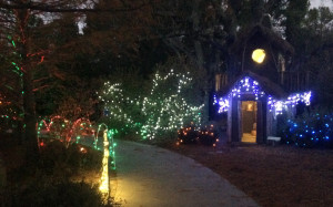 Playground Lane with a festive makeover