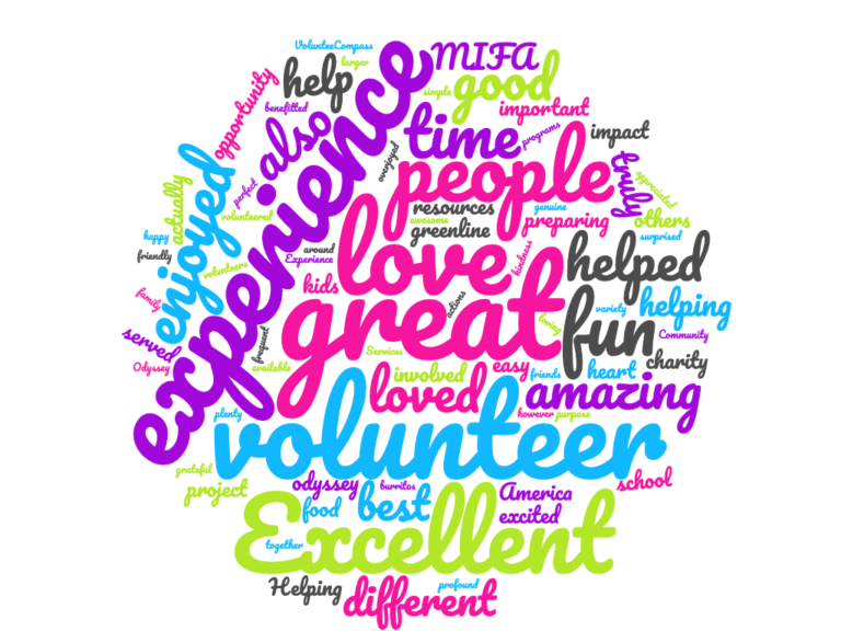 A visual representation of the most frequently used words to describe a volunteering experience